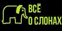 Всё о слонах